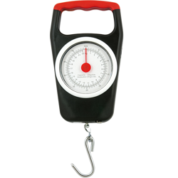 Váha York professional