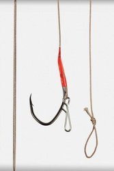 C.A.T. Catfish rig with hook for pellet